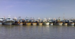 سفن صيد مصرية