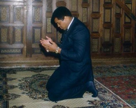 اضغط على الصورة لرؤيتها بالحجم الطبيعي