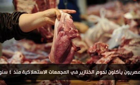 الشعب المصري يأكل لحوم الخنازير 