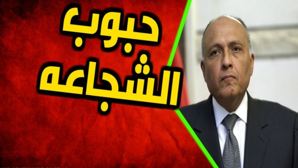 وزير "خارجية السيسي" يعترف بفشل مفاوضات"سد النهضة"