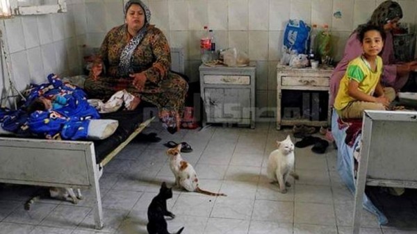 بؤس وسوء الرعاية الصحية والمعيشية في مصر