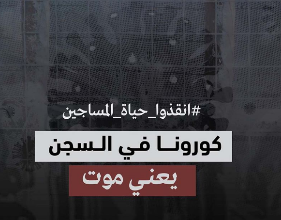 عاجل Marsadpress Net شبكة المرصد الإخبارية Page 28