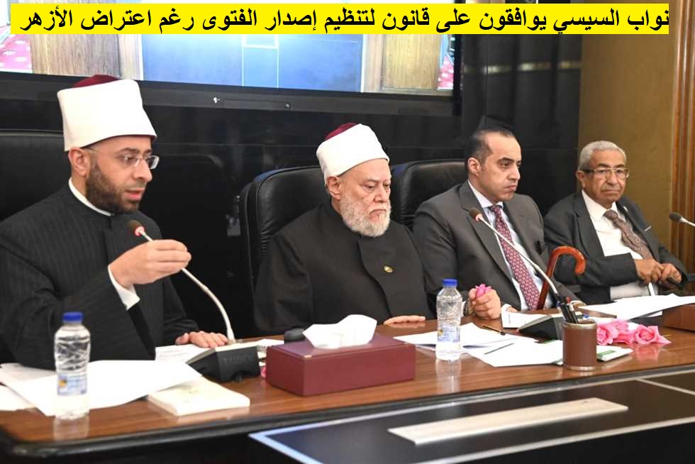 نواب السيسي يوافقون على قانون لتنظيم إصدار الفتوى رغم اعتراض الأزهر ...
